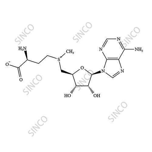 S-Adenosyl-L-Methionine