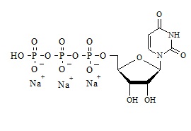 Uridine-5′-triphosphate Trisodium Salt