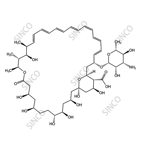 Amphotericin B