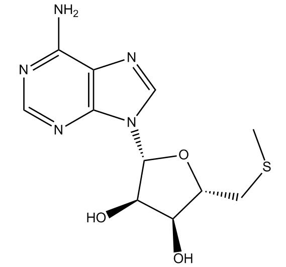 5'-S-Methyl-5'-Thioadenosine